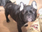 dsc00087.jpg